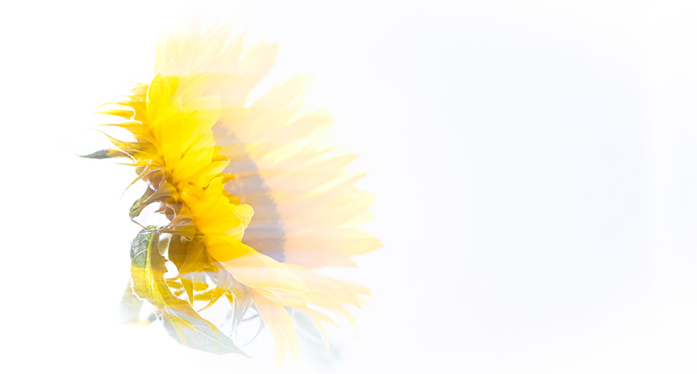 Platz 8 Sieglinde Senser